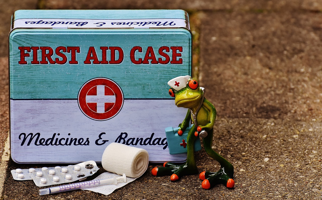 first aid, frog, medic-1732710.jpg